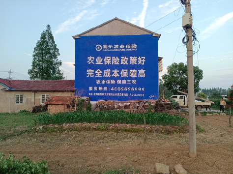 景洪墙体广告的优劣势你知道吗？