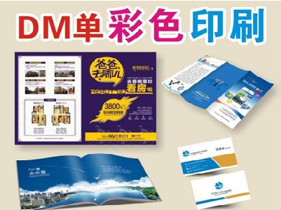 景洪单页印刷，色彩搭配简单。